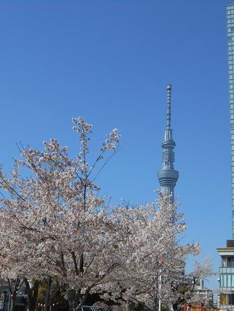 Parco Kinshi